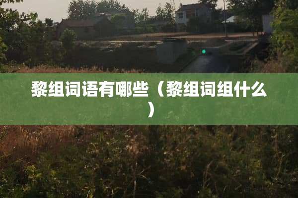 黎组词语有哪些（黎组词组什么）