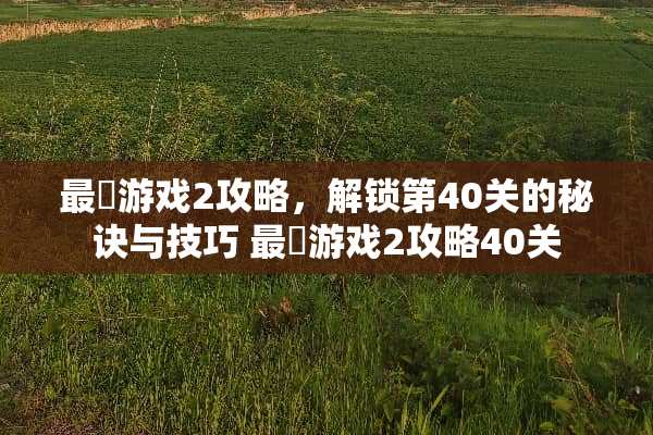最囧游戏2攻略，解锁第40关的秘诀与技巧 最囧游戏2攻略40关
