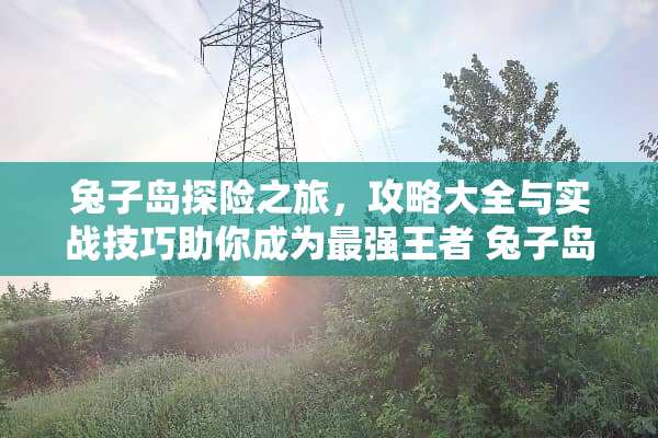 兔子岛探险之旅，攻略大全与实战技巧助你成为最强王者 兔子岛游戏攻略