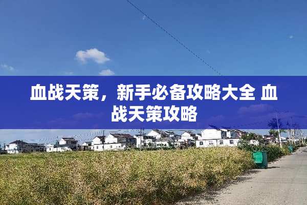 血战天策，新手必备攻略大全 血战天策攻略