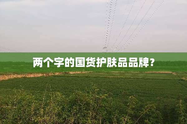 两个字的国货护肤品品牌？