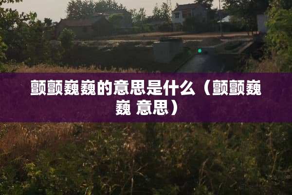 颤颤巍巍的意思是什么（颤颤巍巍 意思）