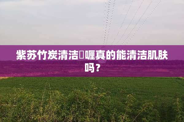 紫苏竹炭清洁啫喱真的能清洁肌肤吗？