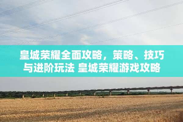 皇城荣耀全面攻略，策略、技巧与进阶玩法 皇城荣耀游戏攻略