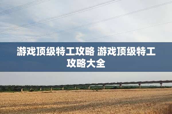 游戏**特工攻略 游戏**特工攻略大全