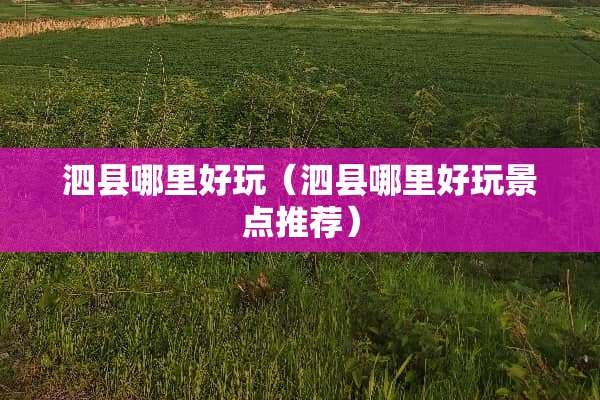泗县哪里好玩（泗县哪里好玩景点推荐）