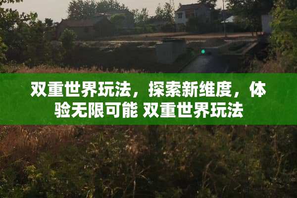 双重世界玩法，探索新维度，体验无限可能 双重世界玩法
