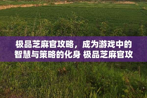 极品芝麻官攻略，成为游戏中的智慧与策略的化身 极品芝麻官攻略