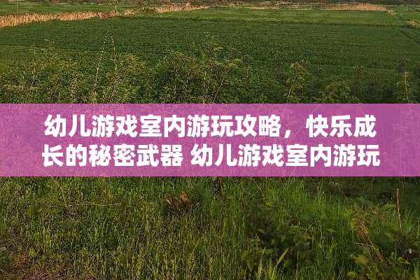 幼儿游戏室内游玩攻略，快乐成长的秘密** 幼儿游戏室内游玩攻略