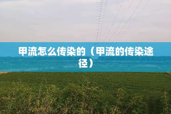 甲流怎么传染的（甲流的传染途径）