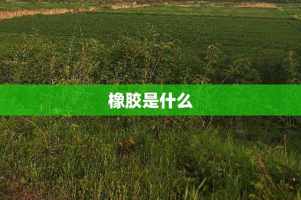 橡胶是什么