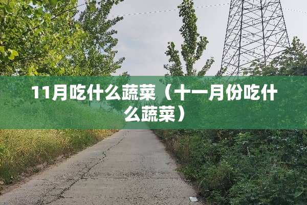 11月吃什么蔬菜（十一月份吃什么蔬菜）