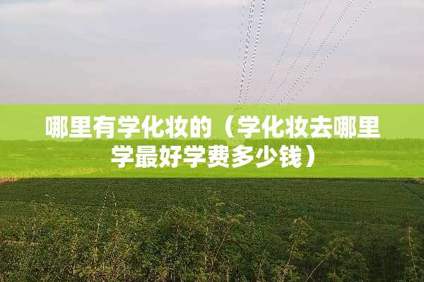 哪里有学化妆的（学化妆去哪里学最好学费多少钱）