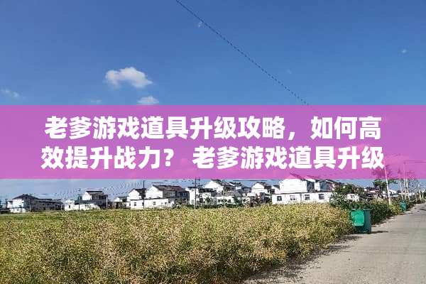 老爹游戏道具升级攻略，如何高效提升战力？ 老爹游戏道具升级攻略