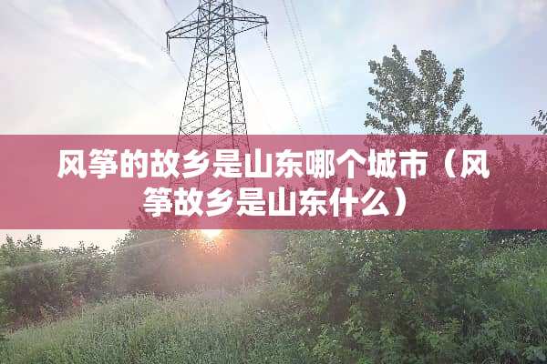 风筝的故乡是山东哪个城市（风筝故乡是山东什么）