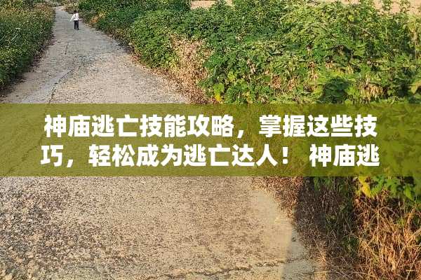 神庙逃亡技能攻略，掌握这些技巧，轻松成为逃亡达人！ 神庙逃亡技能