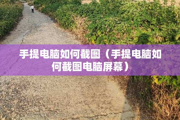 手提电脑如何截图（手提电脑如何截图电脑屏幕）