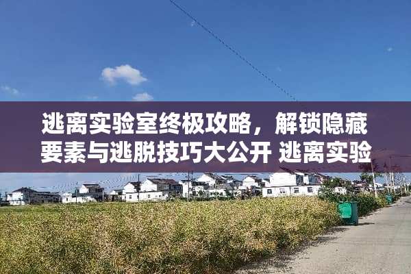 逃离实验室终极攻略，解锁隐藏要素与逃脱技巧大公开 逃离实验室攻略