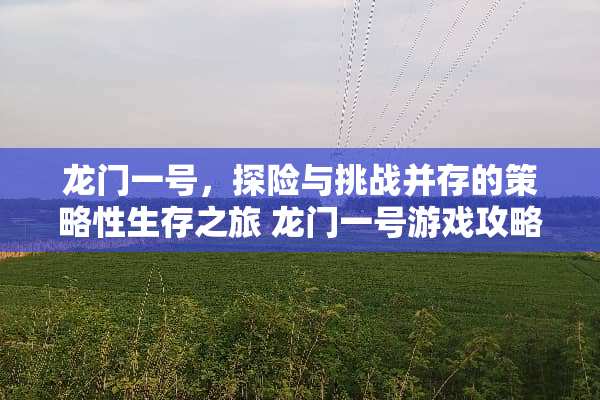 龙门一号，探险与挑战并存的策略性生存之旅 龙门一号游戏攻略