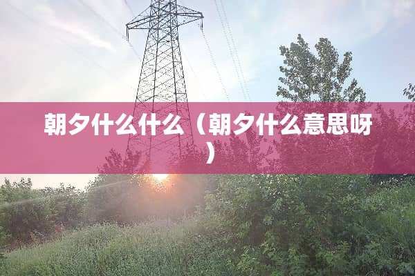 朝夕什么什么（朝夕什么意思呀）