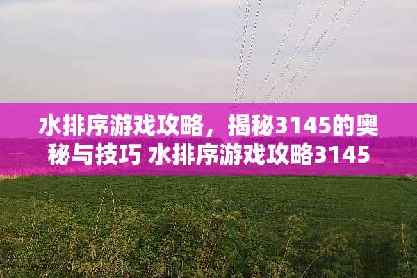 水排序游戏攻略，揭秘3145的奥秘与技巧 水排序游戏攻略3145