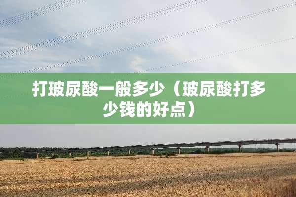 打玻尿酸一般多少（玻尿酸打多少钱的好点）