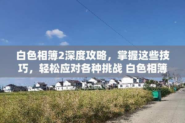 白色相簿2深度攻略，掌握这些技巧，轻松应对各种挑战 白色相簿2攻略