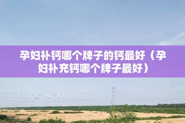 孕妇补钙哪个牌子的钙最好（孕妇补充钙哪个牌子最好）