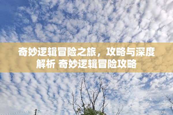 奇妙逻辑冒险之旅，攻略与深度解析 奇妙逻辑冒险攻略