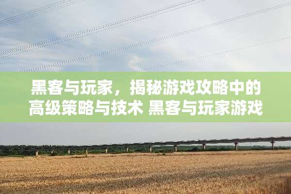 黑客与玩家,揭秘游戏攻略中的高级策略与技术 黑客与玩家游戏攻略 黑客与玩家,揭秘游戏攻略中的高级策略与技术 黑客与玩家游戏攻略