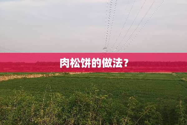 肉松饼的做法？