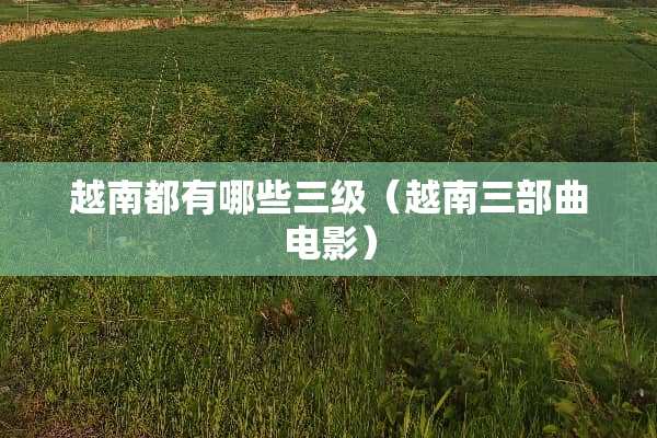 越南都有哪些**（越南三部曲电影）