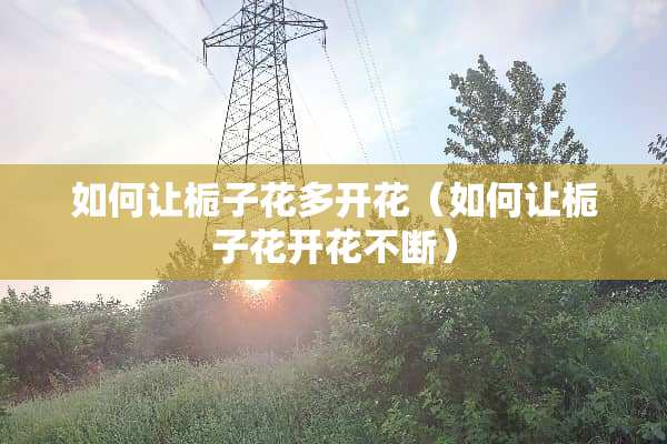 如何让栀子花多开花（如何让栀子花开花不断）