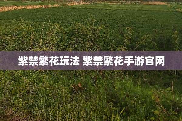 紫禁繁花玩法 紫禁繁花手游官网