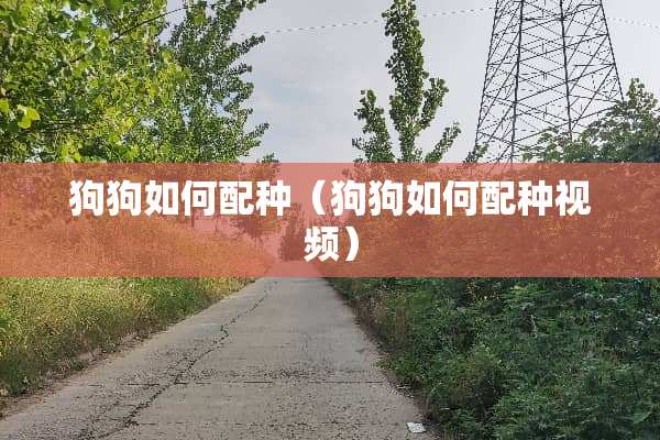 狗狗如何配种（狗狗如何配种视频）