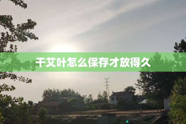 干艾叶怎么保存才放得久
