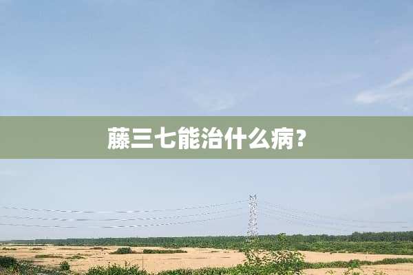 藤三七能治什么病？