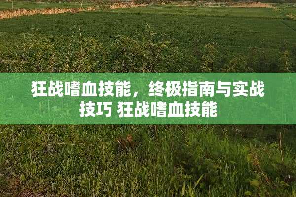 狂战嗜血技能，终极指南与实战技巧 狂战嗜血技能