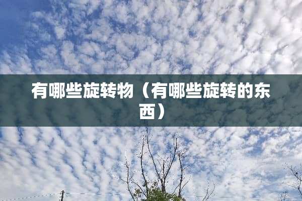 有哪些旋转物（有哪些旋转的东西）