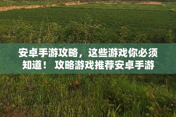 安卓手游攻略，这些游戏你必须知道！ 攻略游戏推荐安卓手游