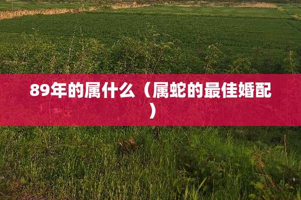 89年的属什么（属蛇的最佳婚配）