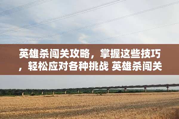 英雄杀闯关攻略，掌握这些技巧，轻松应对各种挑战 英雄杀闯关攻略