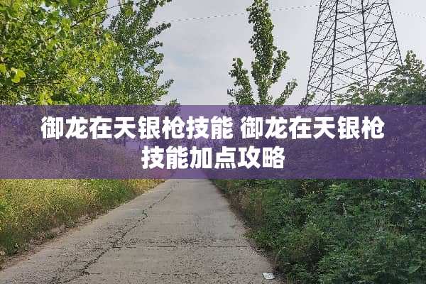 御龙在天银枪技能 御龙在天银枪技能加点攻略