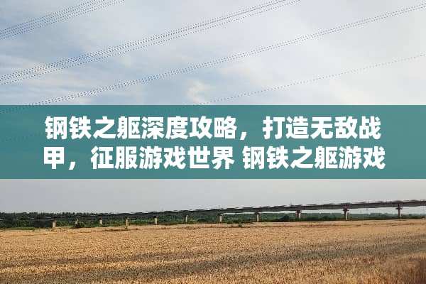 钢铁之躯深度攻略，打造无敌战甲，征服游戏世界 钢铁之躯游戏攻略
