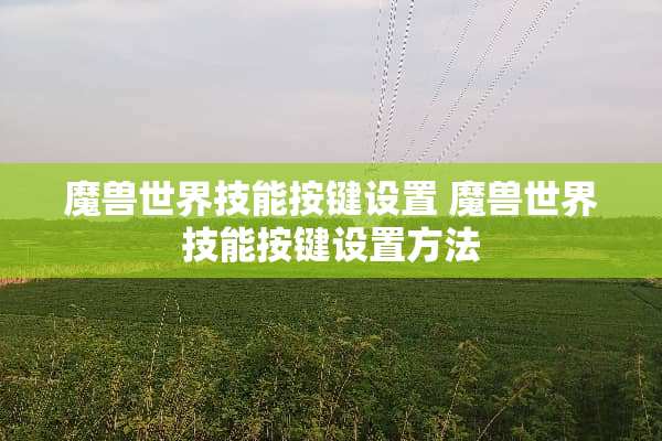 魔兽世界技能按键设置 魔兽世界技能按键设置方法