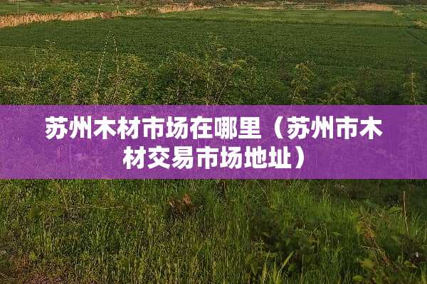 苏州木材市场在哪里（苏州市木材交易市场地址）