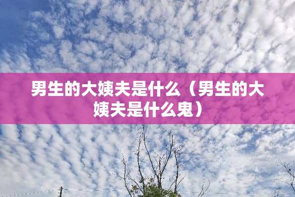男生的大姨夫是什么（男生的大姨夫是什么鬼）