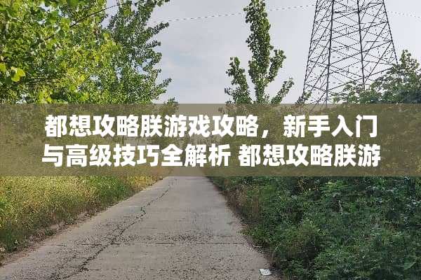 都想攻略朕游戏攻略，新手入门与高级技巧全解析 都想攻略朕游戏攻略三