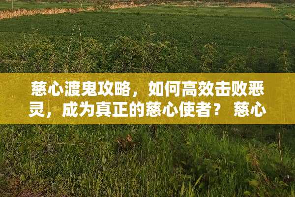慈心渡鬼攻略，如何高效击败恶灵，成为真正的慈心使者？ 慈心渡鬼攻略