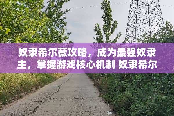 *隶希尔薇攻略，成为最强*隶主，掌握游戏核心机制*隶希尔薇攻略